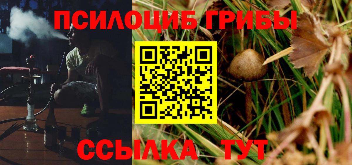 Галлюциногенные грибы мицелий  Галлюциногенные грибы Magic Shrooms  Вход с VPN  купить   Армавир 